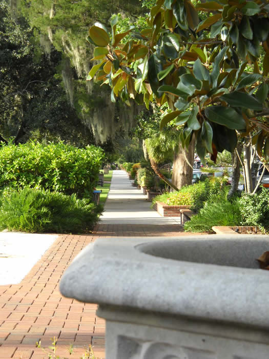 Winter Park Orlando Florida Beautiful Winter Park