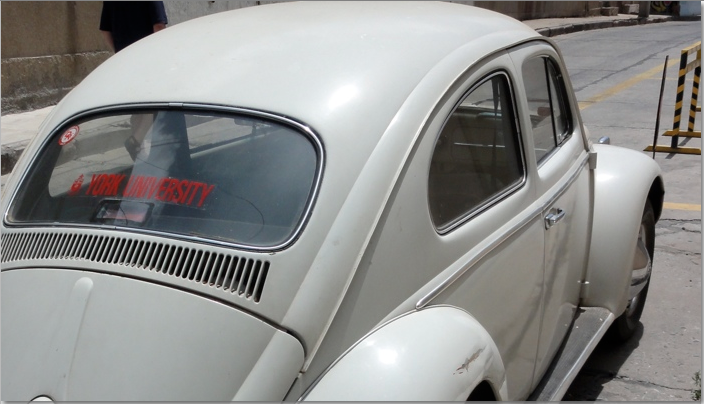 York University Sticker on Volkswagen Beetle