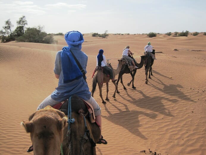 photo, image, camel ride, morocco