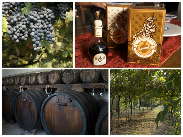 The making of Aceto Balsamico Tradizionale di Modena. From top left and clockwise: the red grapes for this basamico (they also use white grapes), the vinegar that I bought, a beautiful trellis of grape vines and the casks for the first 6 years of aging.