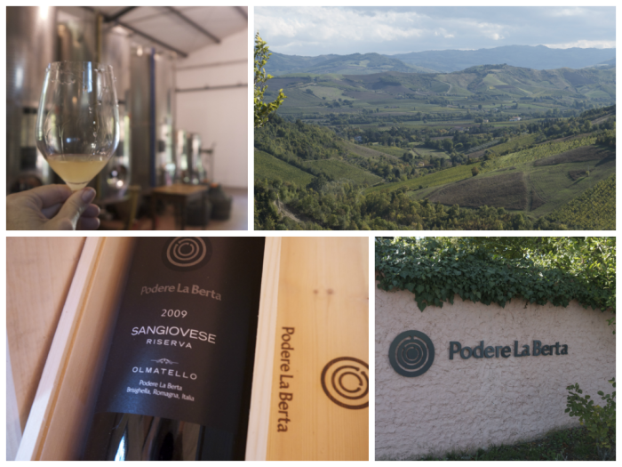 A small producer makes superior Sangiovese wine. Clockwise from upper left: