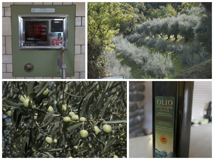 Glorious olive oil - from upper left and clockwise: a pump station where you can buy olive oil for your own container, an olive tree grove, the bottle of olive oil that I purchased and a close-up of olives on the tree.