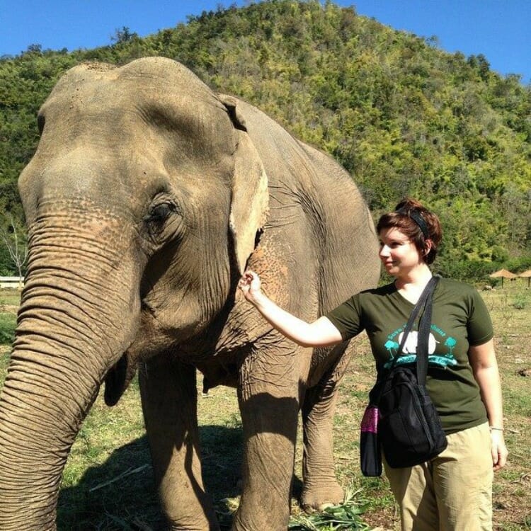 photo, image, elephant nature park, thailand