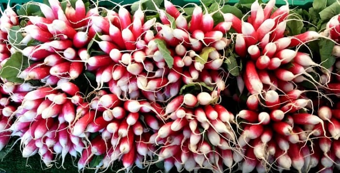 photo, image, radishes, paris market