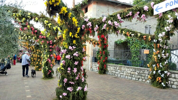 photo, image, monte isola, lombardy, flower festival