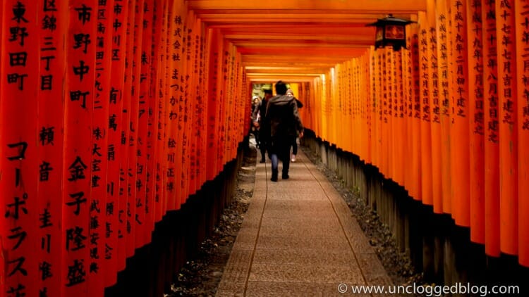 photo, image, gates, kyoto, japan