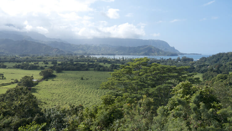 View of Hanalei Bay