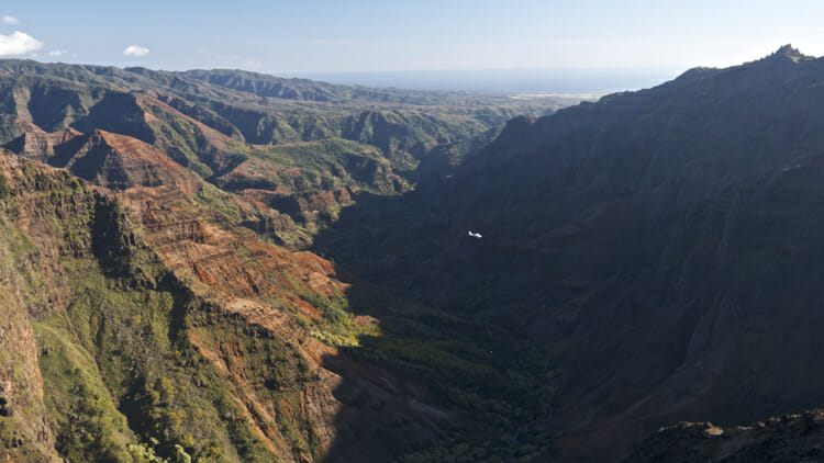 And just one of the spectacular views from the trail. The real payoff of hiking beyond the Lookout. That white spot is a plane.