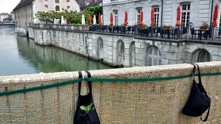 photo, image, bridge, aare river, solothurn, switzerland
