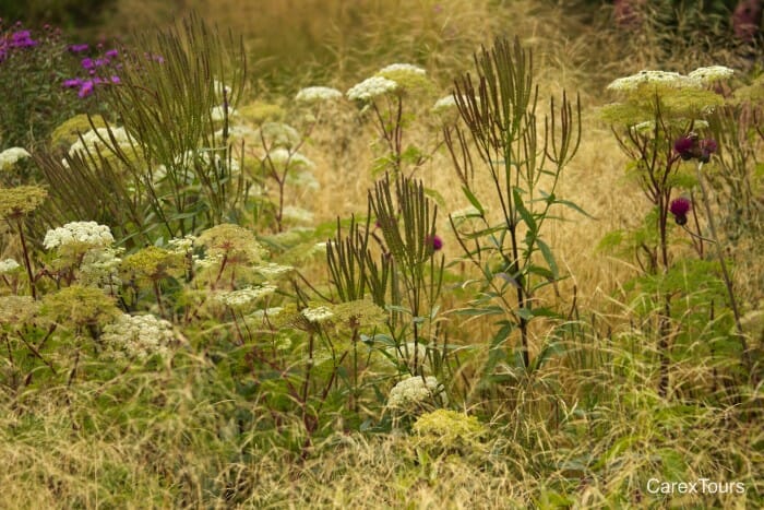 Piet Oudolf’s home garden in Hummelo