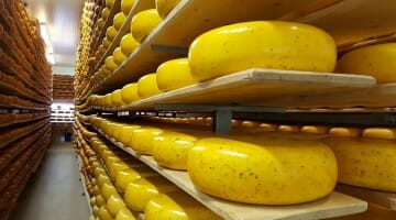 photo, image, gouda, oxford county cheese trail