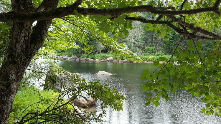 photo, image, tusket river, trout point lodge