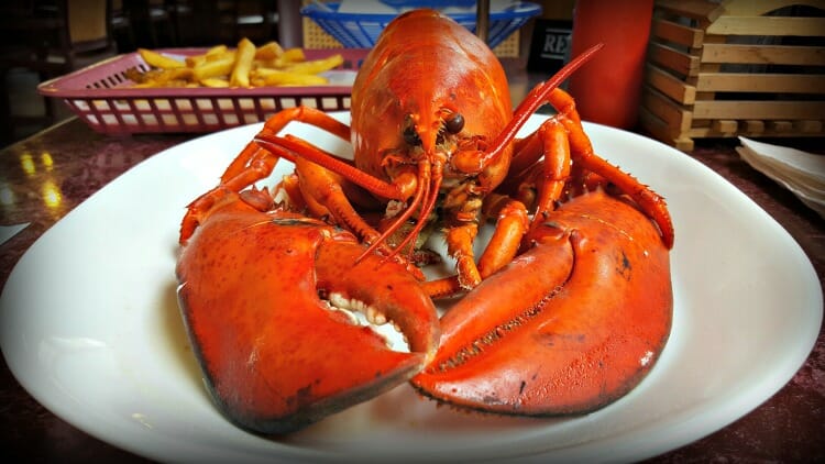 photo, image, lobster, hall's harbour, flavors of nova scotia