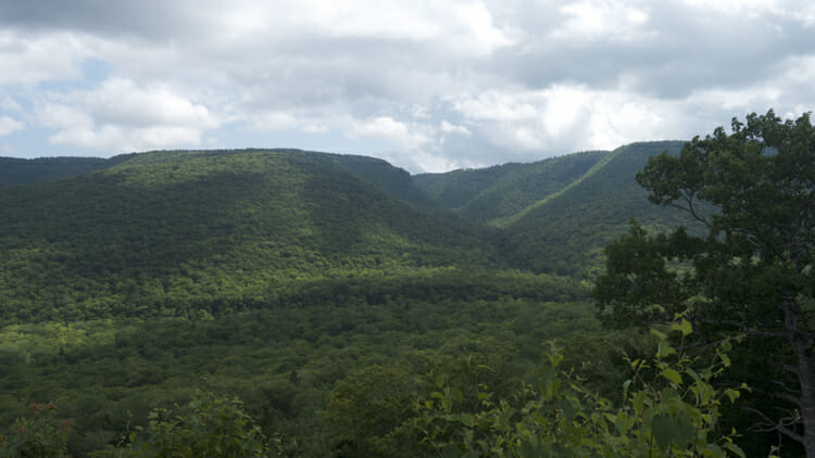 The Aspy Fault Lookout. When you see it yourself you'll see its drama better as well as the break in the trees carved by the Aspy River.