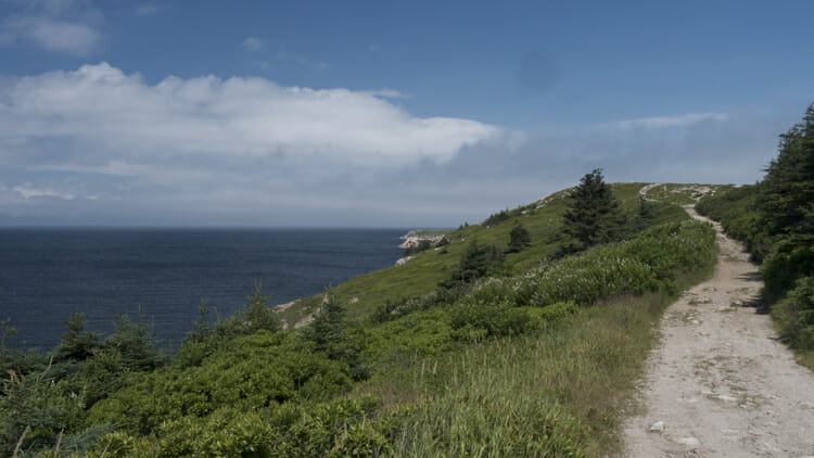 The trail up to the cape at White Point.