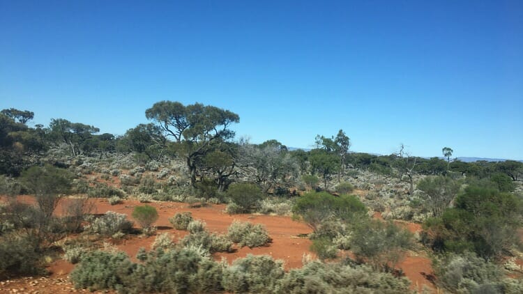 photo, image, landscape, solo aboard the ghan