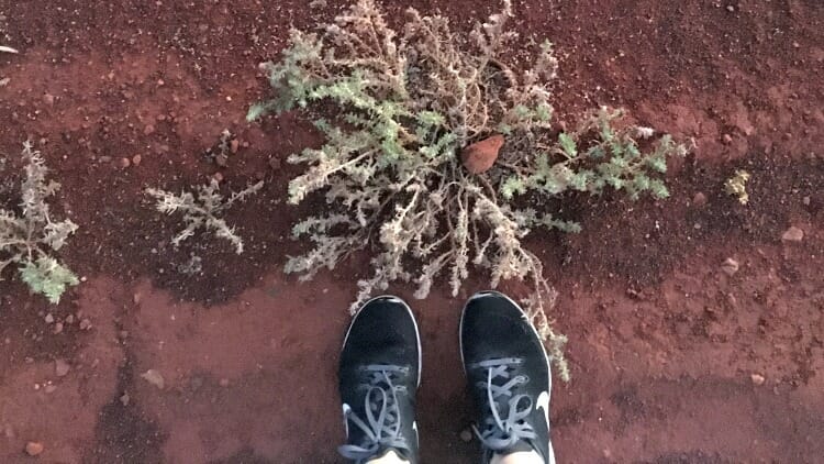photo, image, feet, red soil, australia, transformed on the ghan