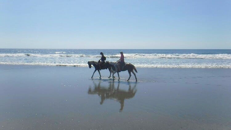 photo, image, horseback riding, montezuma, costa rica
