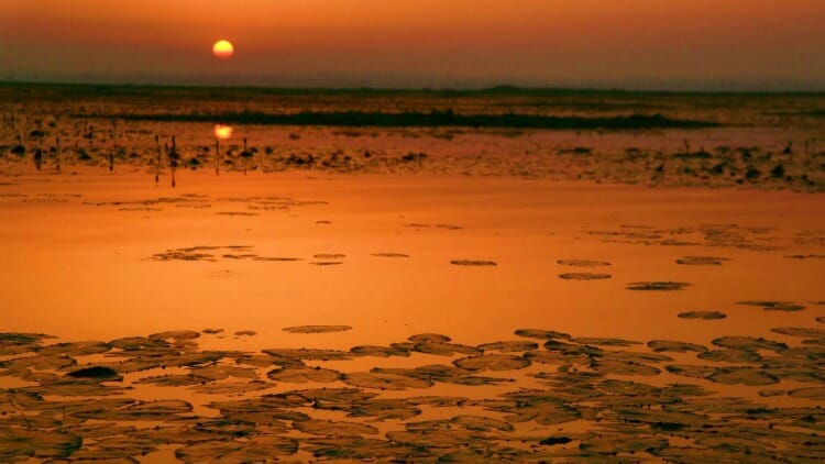 photo, image, sunset, srimangal, bangladesh