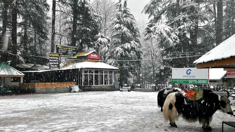 photo, image, snow, manali, india