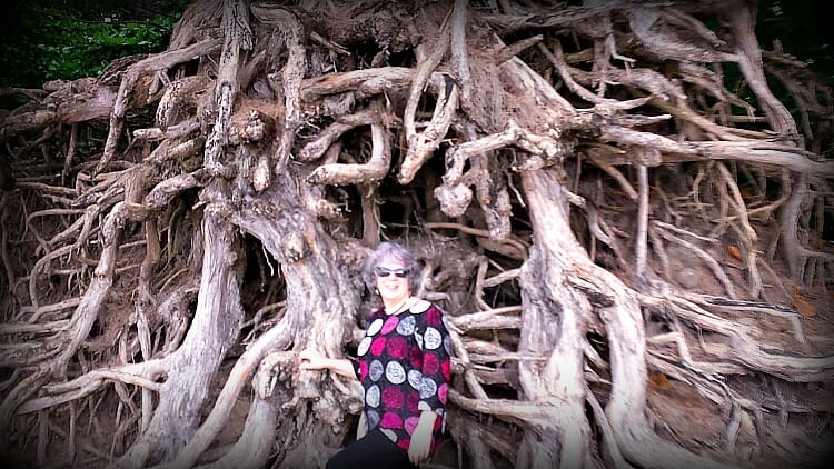 photo, image, woman, tree roots, solo adventure, kauai