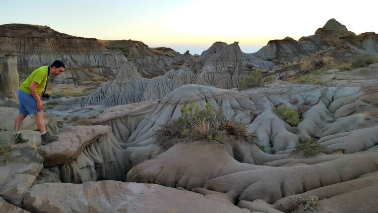 photo, image, dinosaur provincial park, western canada