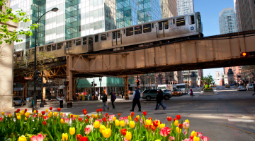 Budget Chicago: 32 Free and Low-Cost Tips