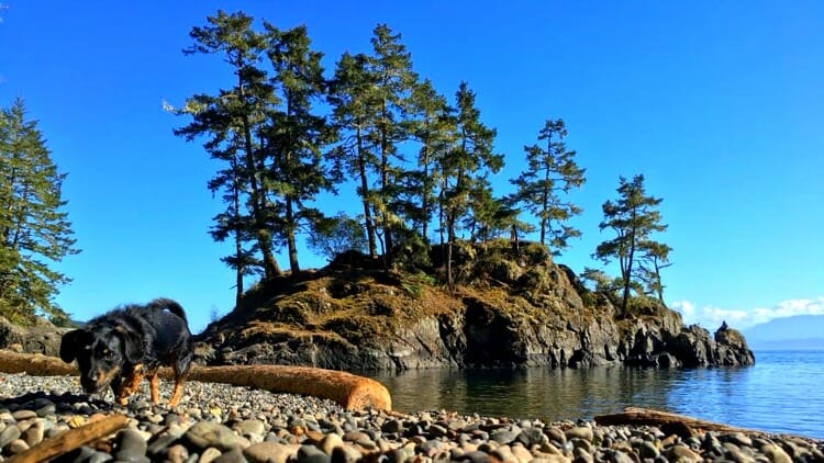 photo, image, east sooke park, western canada photos