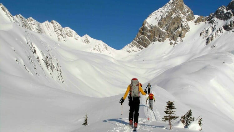 photo, image, skiers, adventure travel western canada