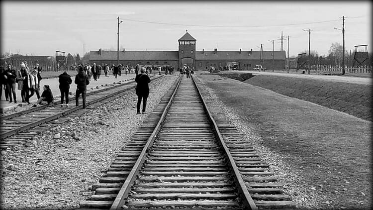 photo, image, auschwitz-birkenau, poland