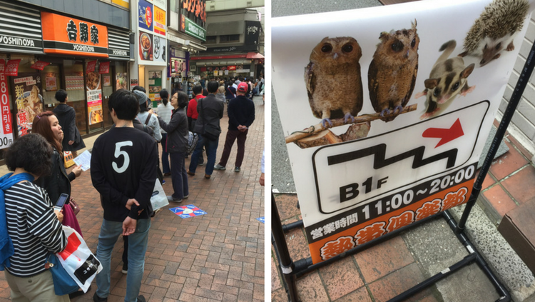 Kichijoji Market