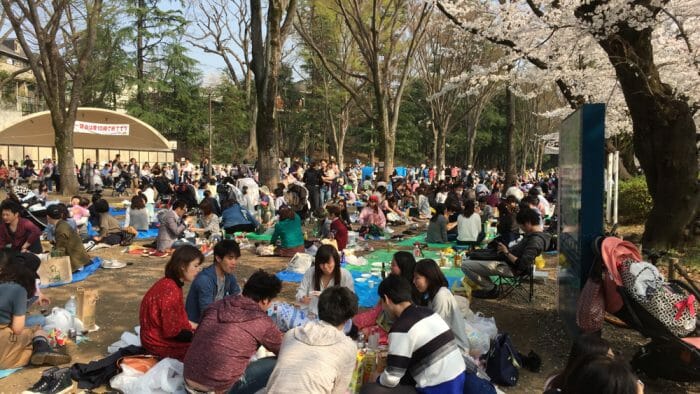 picnics in  Inogashira Park