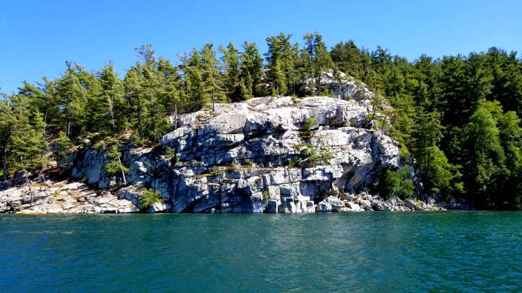 view of rocks and trees from the water