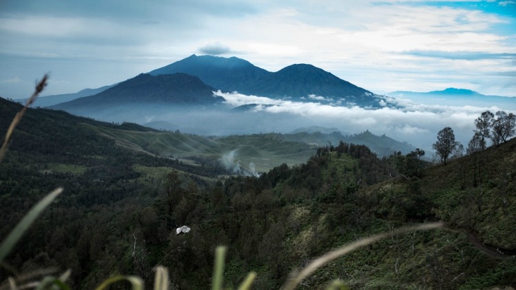 photo, image, mount ijen, indonesian jungle