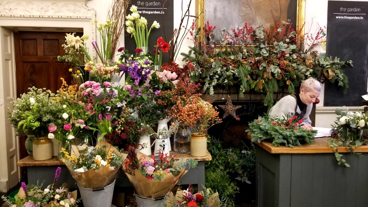 foto, billede, Blomsterbutik, udforske Irland