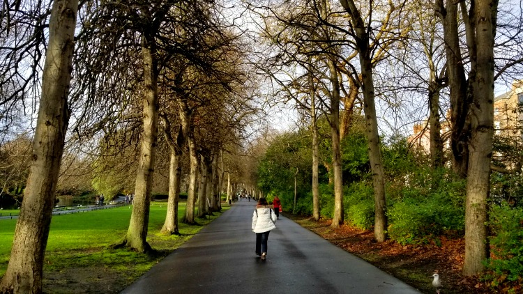 foto, obrázek, st, stephen ' s green, zkoumání Irska