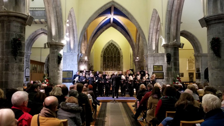 foto, bilde, st nicholas collegiate church, utforske irland