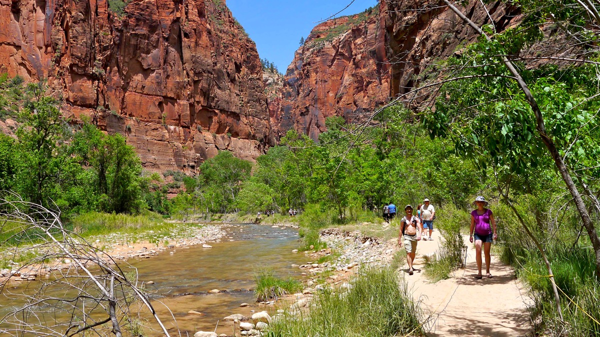 photo, image, Zion National Park, solo travel themes