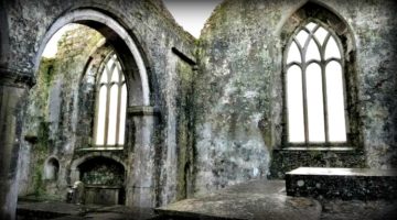 photo, image, ross errilly friary, ireland
