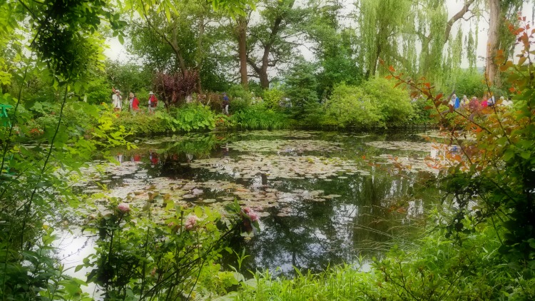 photo, image, monet's garden, giverny