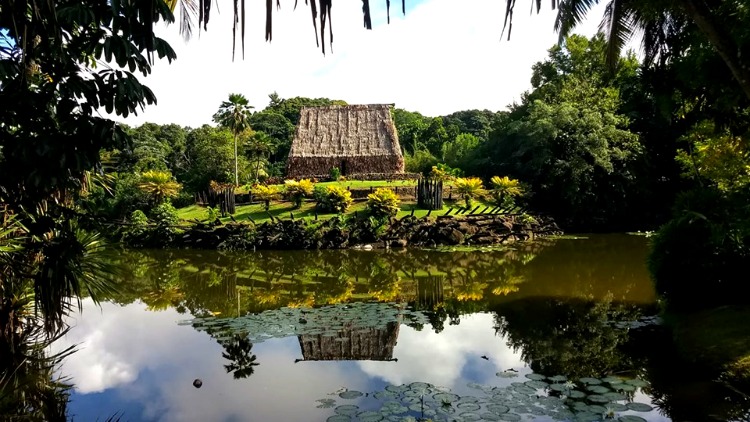 photo, image, reflection on fiji