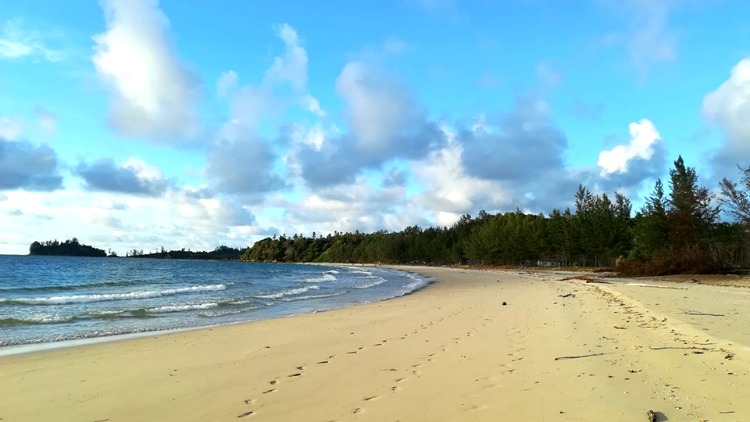 photo, image, tip of borneo
