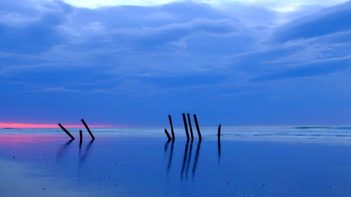 st. clair beach, south island, new zealand photos