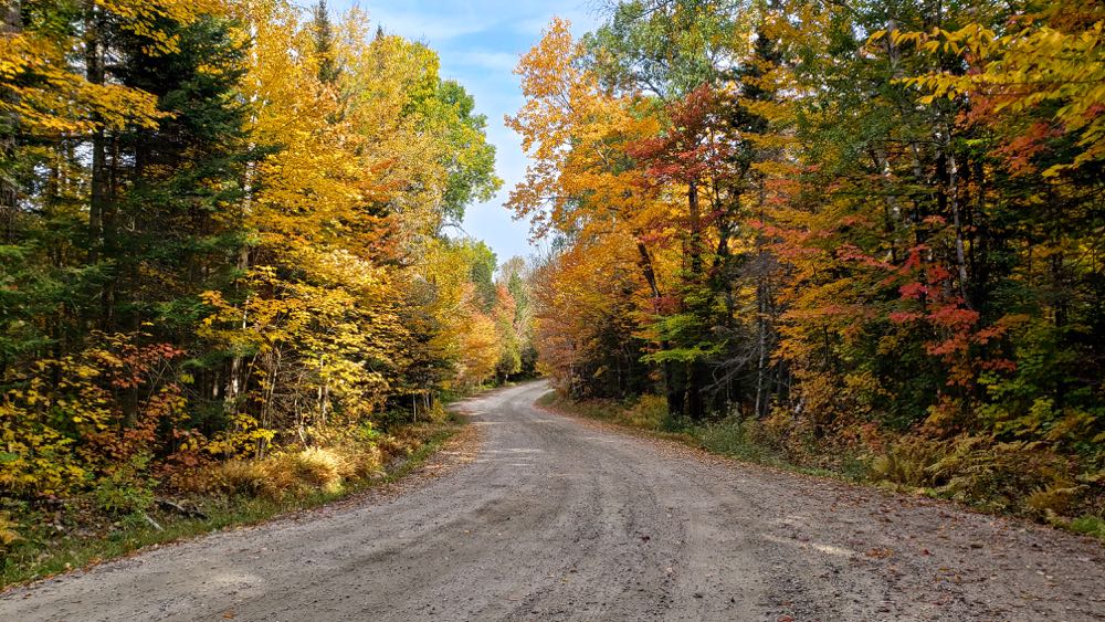 Fall colors on country road