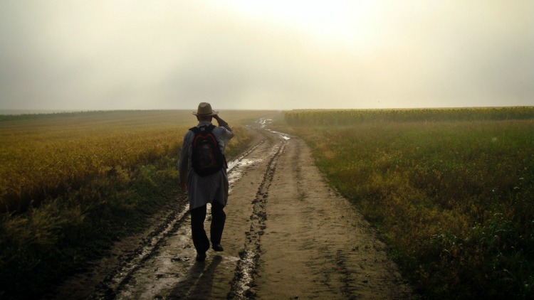 man walking in field