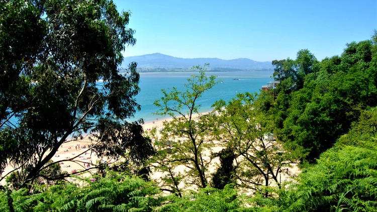 beach view through the trees