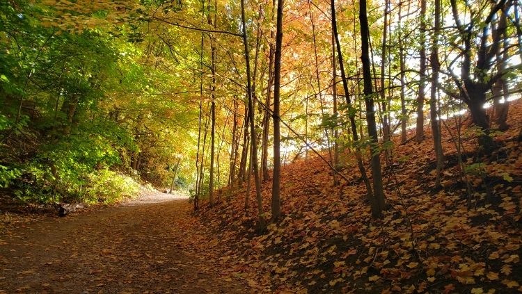 travel solo into nature Toronto