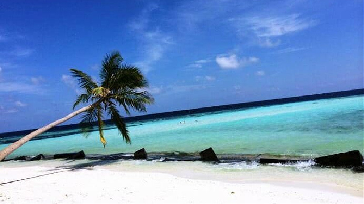 maldives, beach
