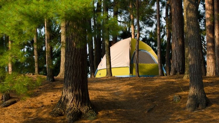 a tent in the woods where Janice pursued solo travel for self-care