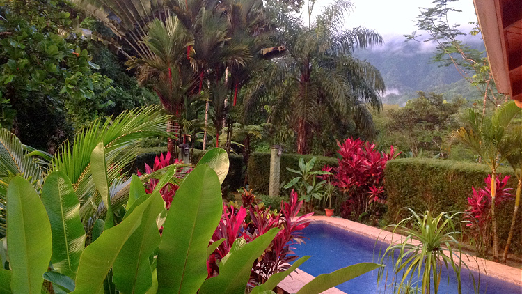 Solo Traveler Insiders speaker Jodie Burnham enjoyed a jungle pool in Costa Rica on one of her house-sits.